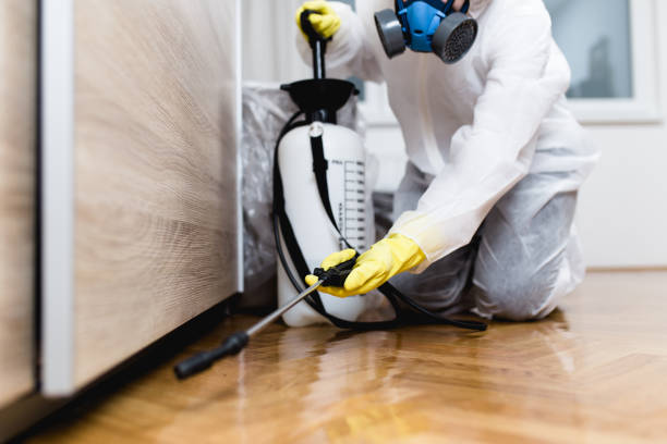 Best Best Pest Control Companies  in Crescent City, FL