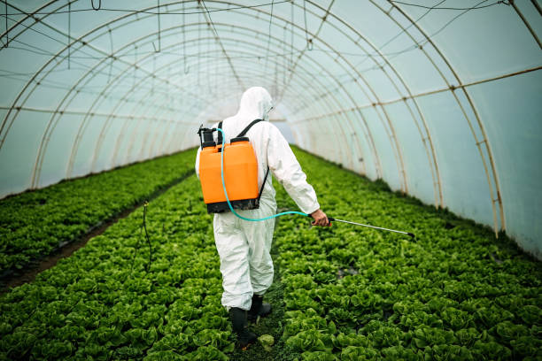 Best Pest Prevention Services  in Crescent City, FL