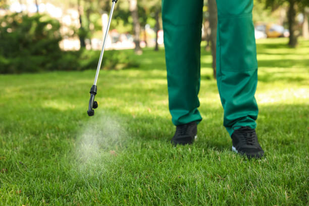 Bird Control in Crescent City, FL
