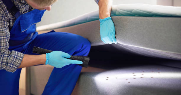 Professional Pest Control in Crescent City, FL