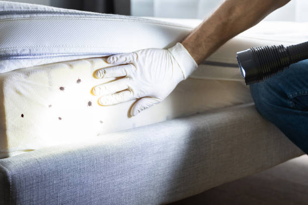Best Emergency Pest Control  in Crescent City, FL