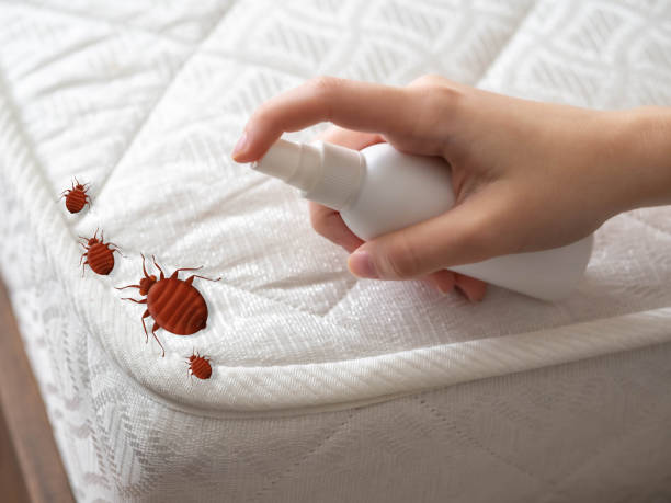 Best Pest Control Near Me  in Crescent City, FL