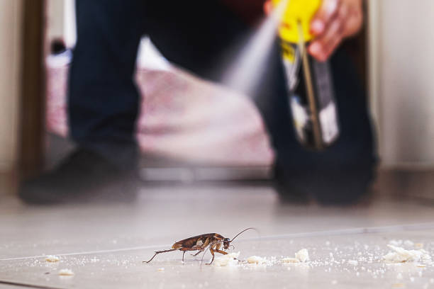 Best Exterminator Services  in Crescent City, FL