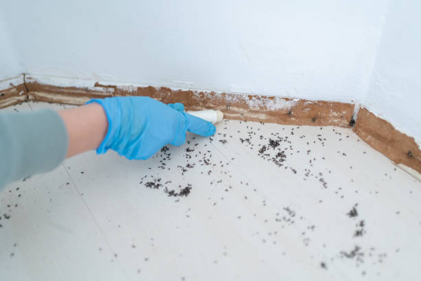 Best Wildlife Control Services  in Crescent City, FL