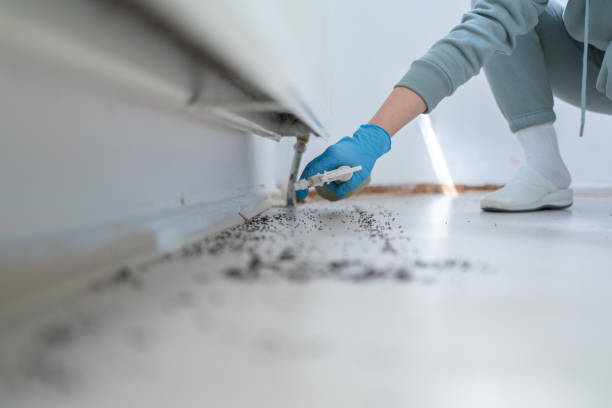 Best Wasp Removal Services  in Crescent City, FL